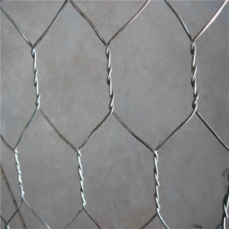 Hexagonal Chicken Wire Mesh