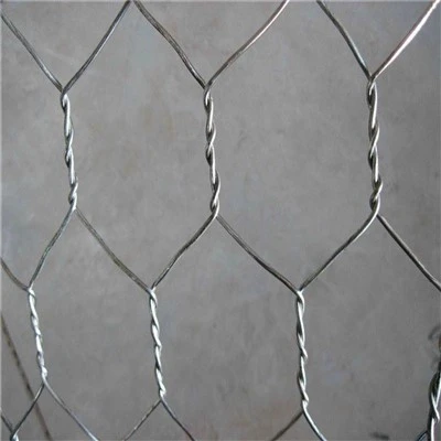 Hexagonal Chicken Wire Mesh
